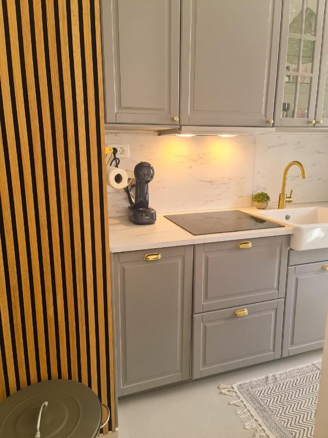 New - Apartment Finis 塞尼 外观 照片