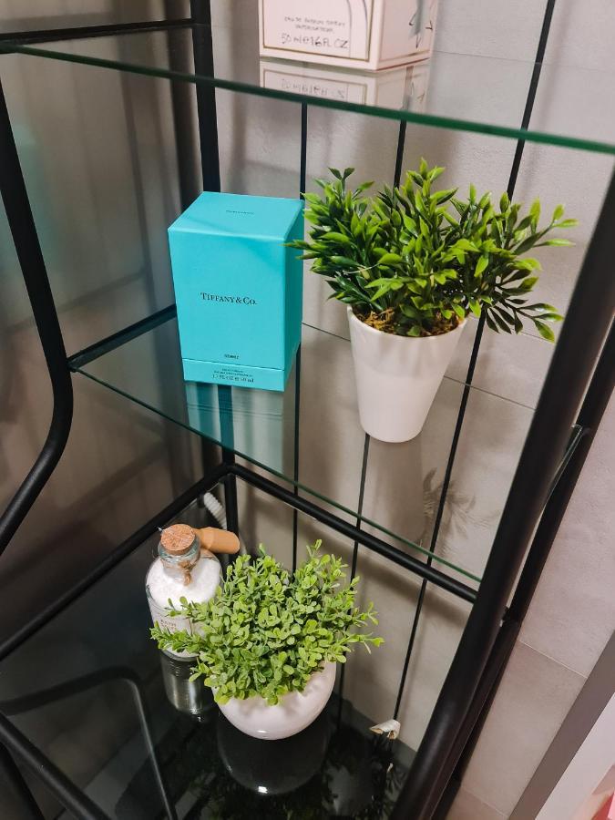 New - Apartment Finis 塞尼 外观 照片