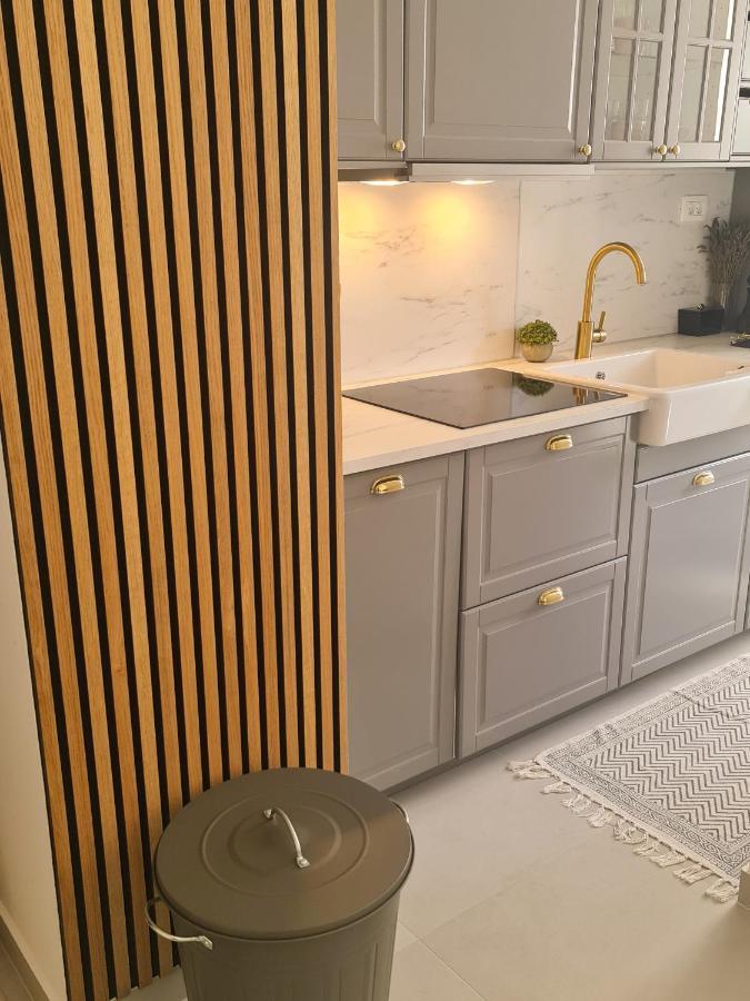 New - Apartment Finis 塞尼 外观 照片
